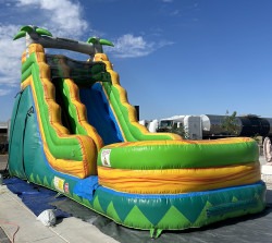 19' Tropical Palm Water slide