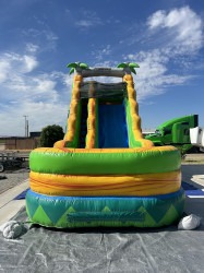 IMG 9108 1719978892 19' Tropical Palm Water slide